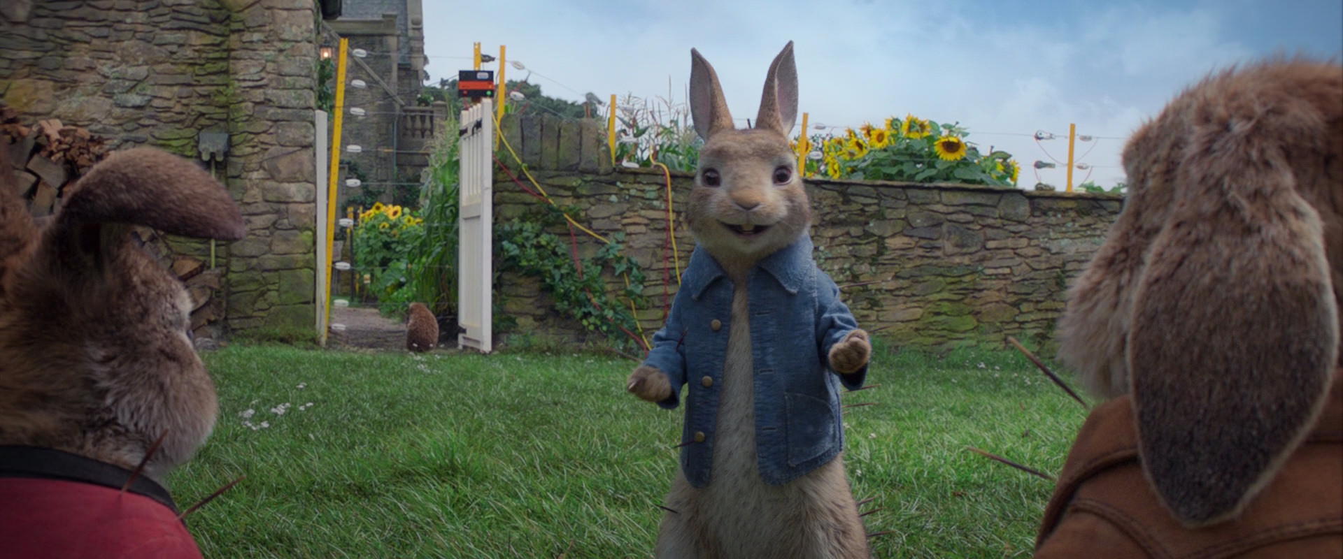 Peter Rabbit (2018) - Animation Screencaps.com